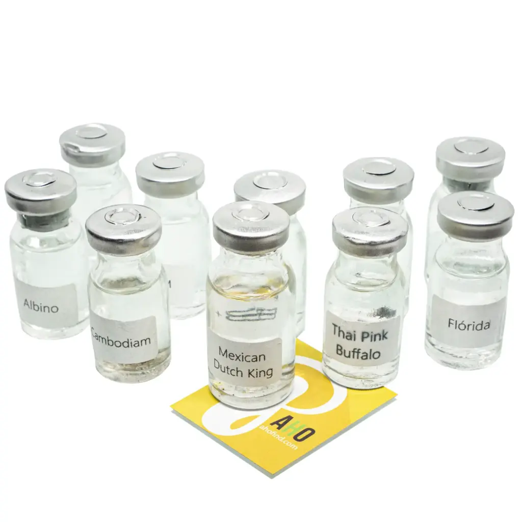 Comprar esporos psilocybe cubensis | AhoFind Ltda