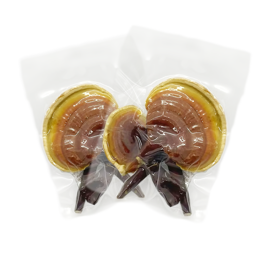 Comprar Reishi Desidratados