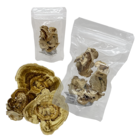 Comprar Cogumelos Cauda De Peru Desidratados | AhoFind Ltda