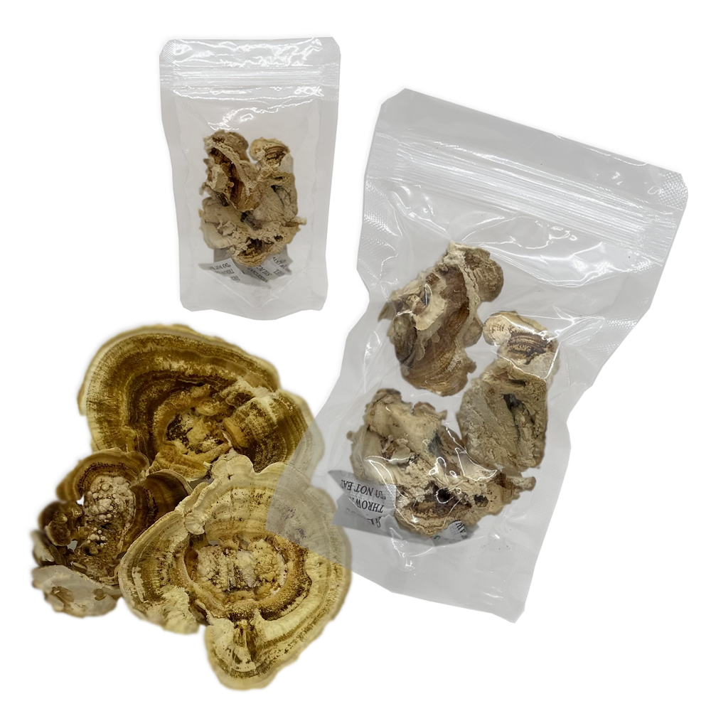 Comprar Cogumelos Cauda De Peru Desidratados | AhoFind Ltda