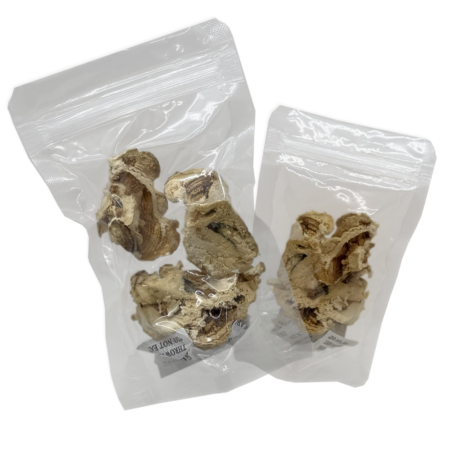 Comprar Cogumelos Cauda De Peru Desidratados | AhoFind Ltda