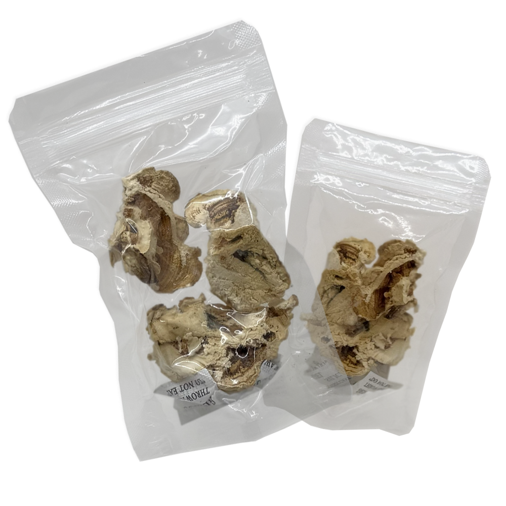 Comprar Cogumelos Cauda De Peru Desidratados | AhoFind Ltda